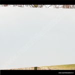 Inkijkwerende statische melkglasfolie mat pr. 45cmx15m 