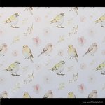 Statische raamfolie lente vogels 67,5cm