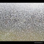 Statische raamfolie Rice 92cm