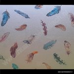 Statische raamfolie Veren finja premium 45cm d-c-fix