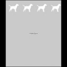 Raamfolie-Honden-boven-60cm