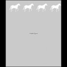 Raamfolie-Paarden-boven-60cm