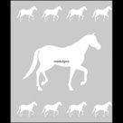 Raamfolie-Paarden-60cm