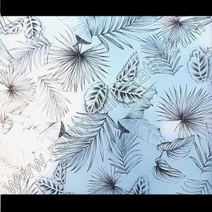 Statische raamfolie Botanisch blad  67,5cmx1,5m
