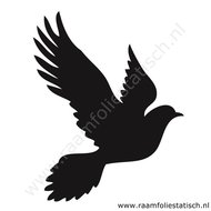 Duif-sticker