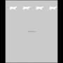 Raamfolie Katten boven 60cm