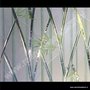 Statische raamfolie bamboe kleuren verticaal 92cm
