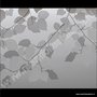 Statische raamfolie grijs / witte bladeren 46cm